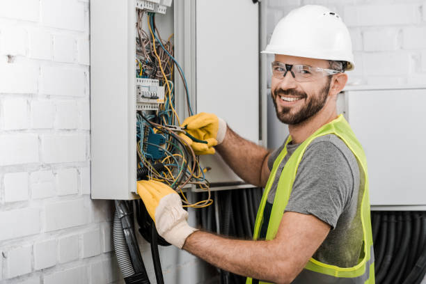 Best Electrical System Inspection  in Dryden, MI