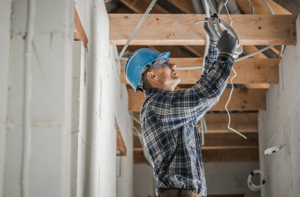 Best Local Electrician Companies  in Dryden, MI