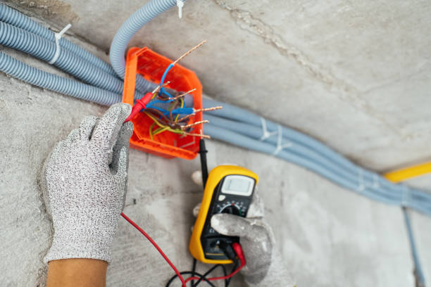 Best Home Electrical Repair  in Dryden, MI